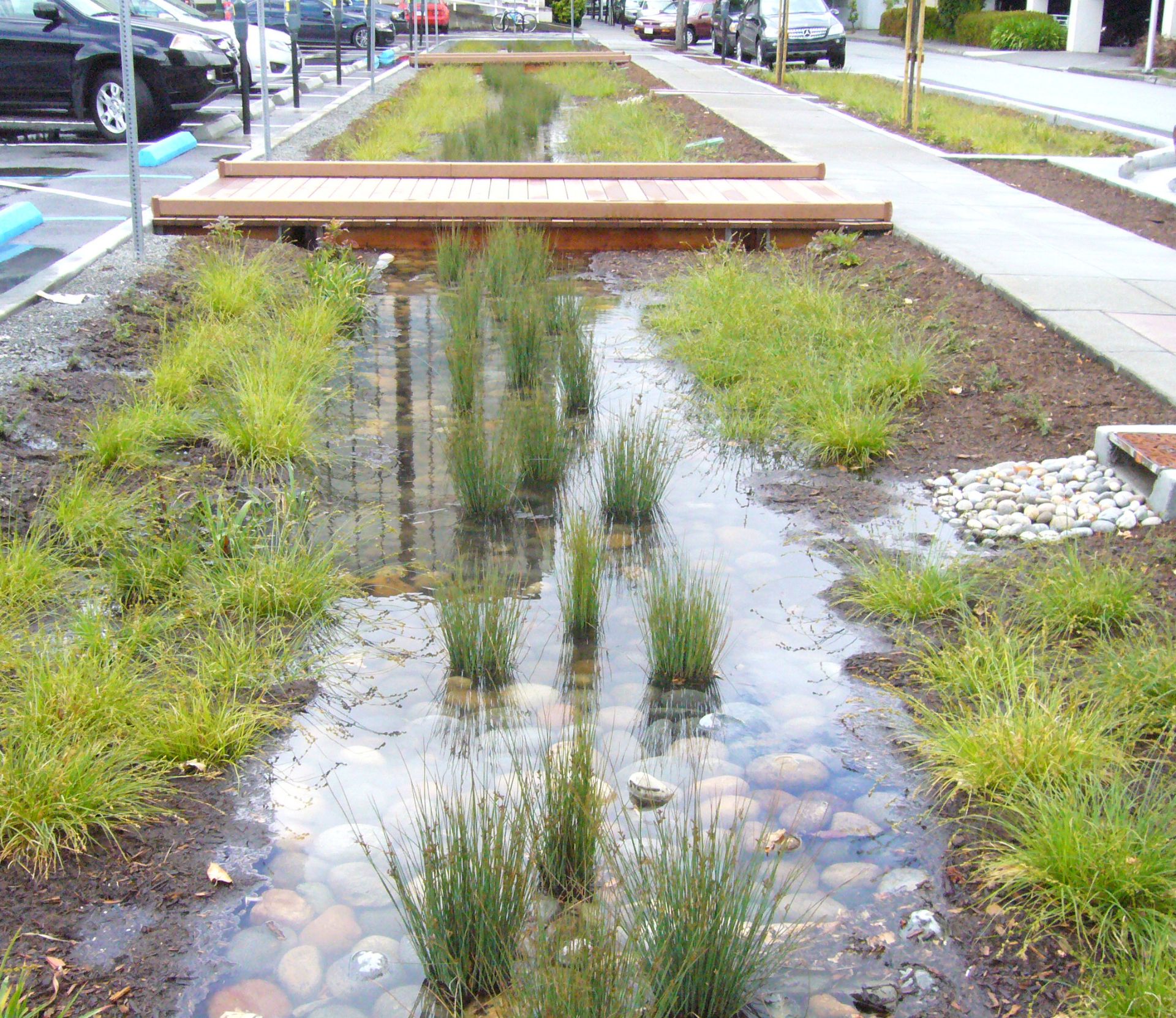 Landscape features like rocks, plants, and wood chips help absorb runoff between concrete