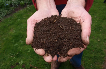 two hands holding soil