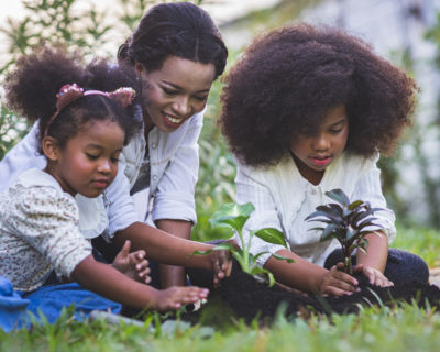 two children and a female parents are sitting on grass and planting.