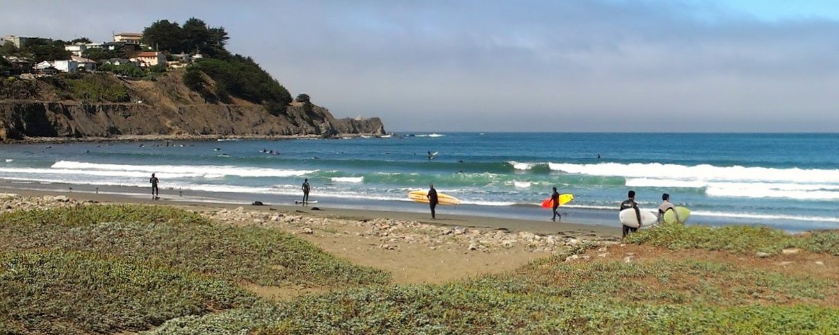 costline; 5 surfers walking towards water; surfers in water; greenery leading up to ocean