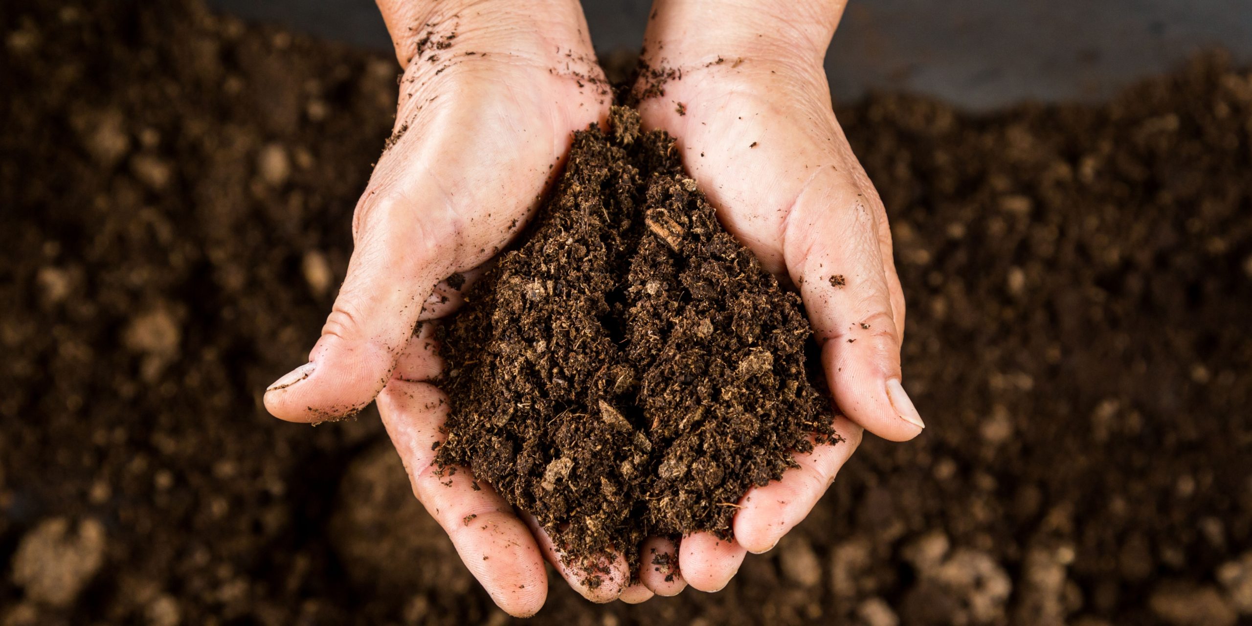 Photo shows hands holding soil, with more soil in the background