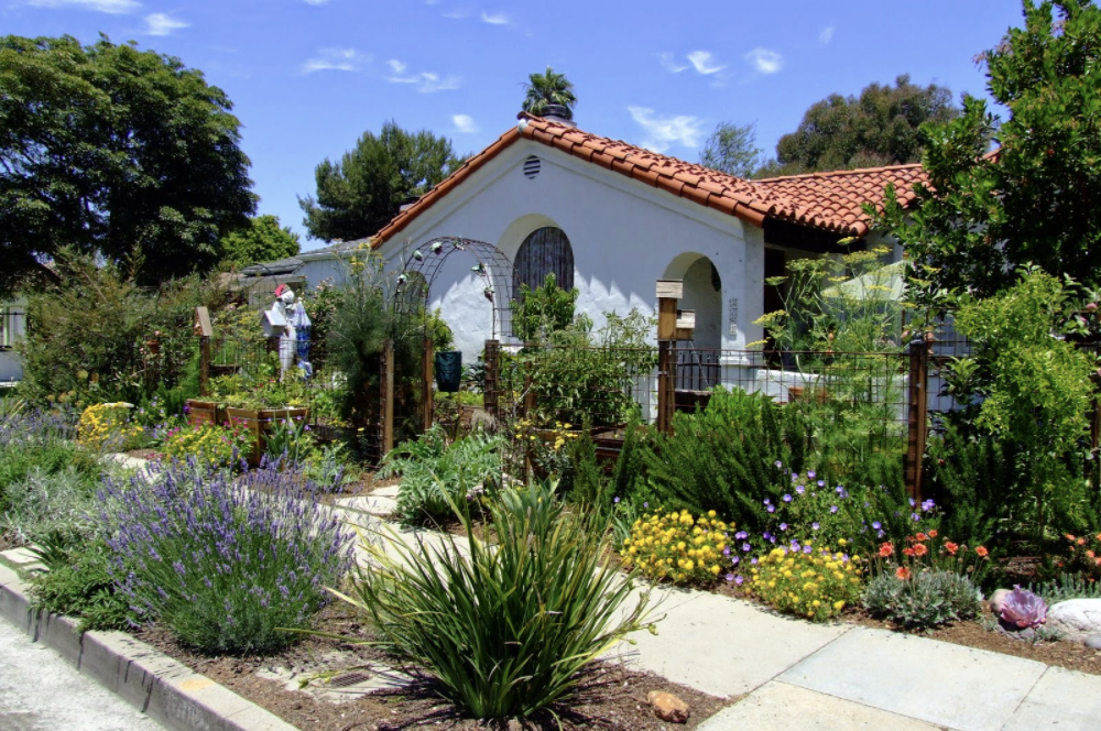 house with succulent garden in front